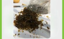 Serbuk Kaca Beling Coklat
