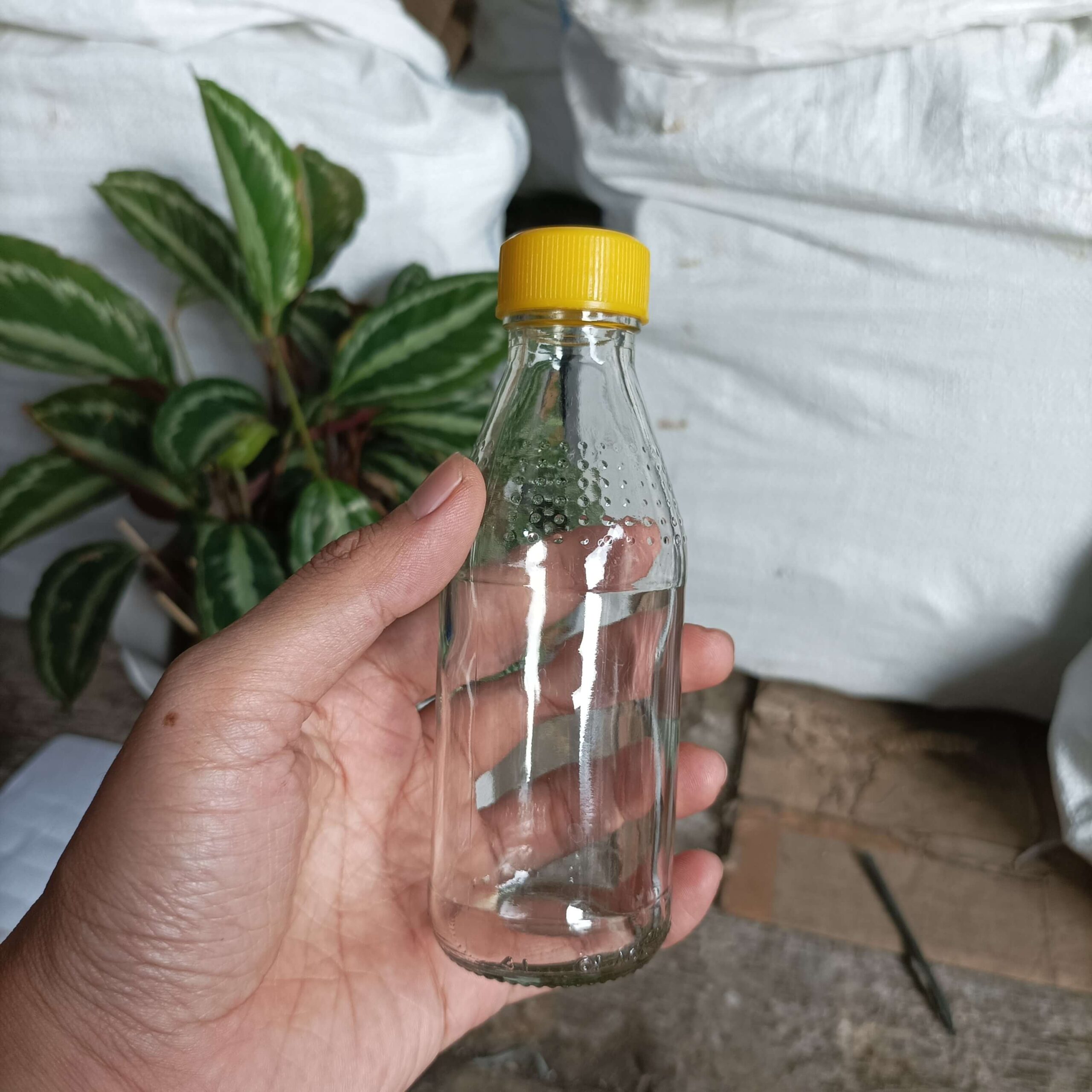 Botol Kaca 150ml HEMAVITON - Rekondisi - Gambar 7