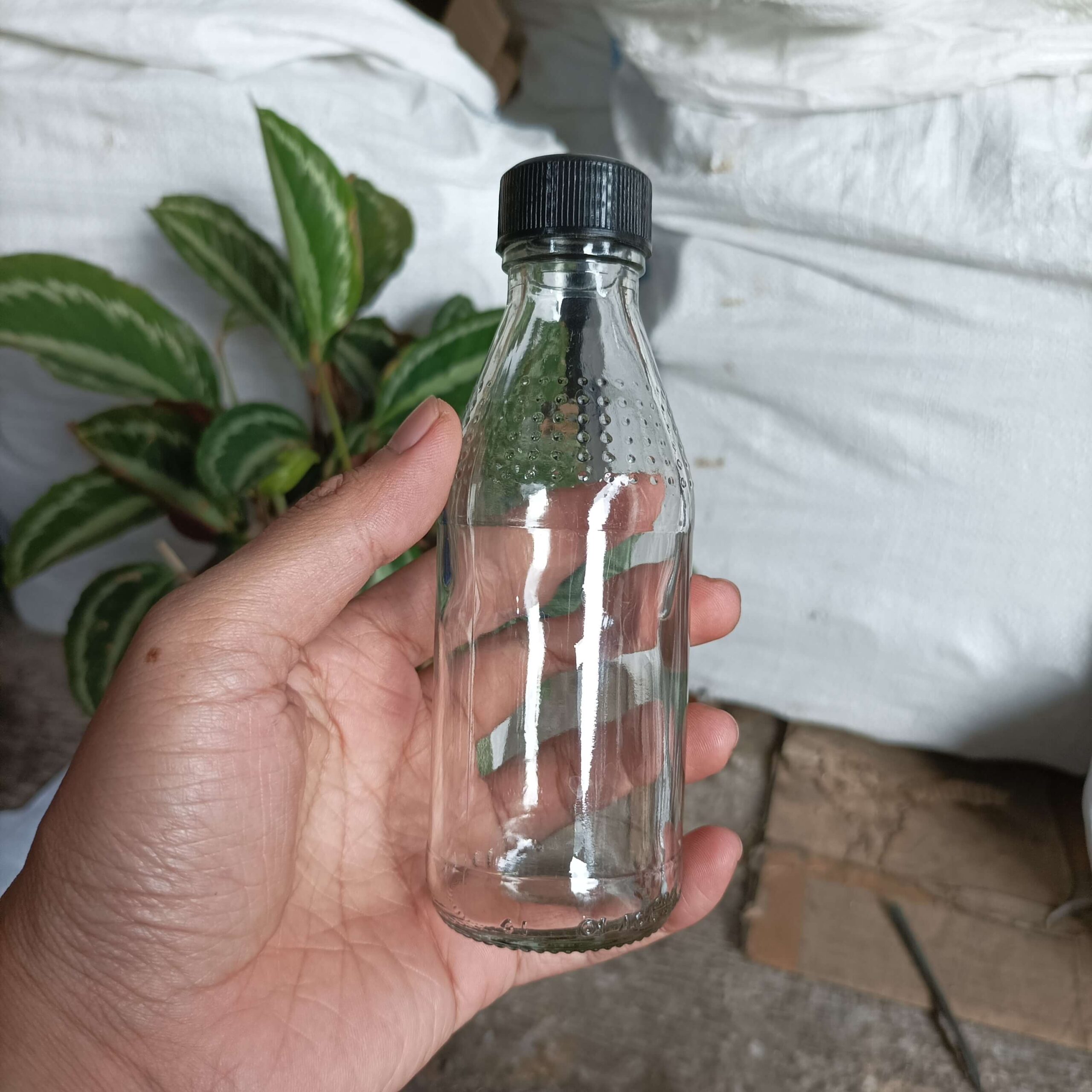 Botol Kaca 150ml HEMAVITON - Rekondisi - Gambar 6