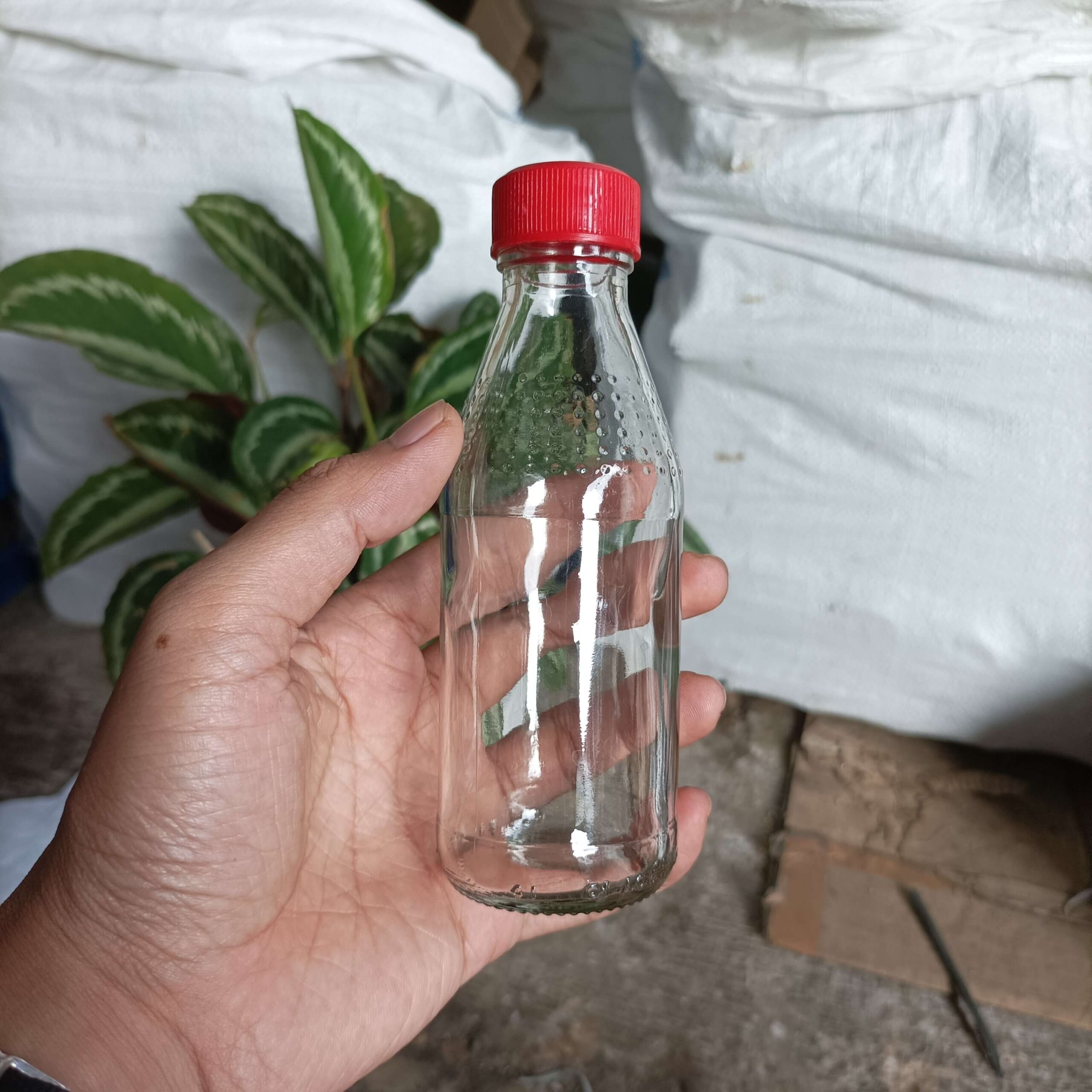 Botol Kaca 150ml HEMAVITON - Rekondisi - Gambar 5