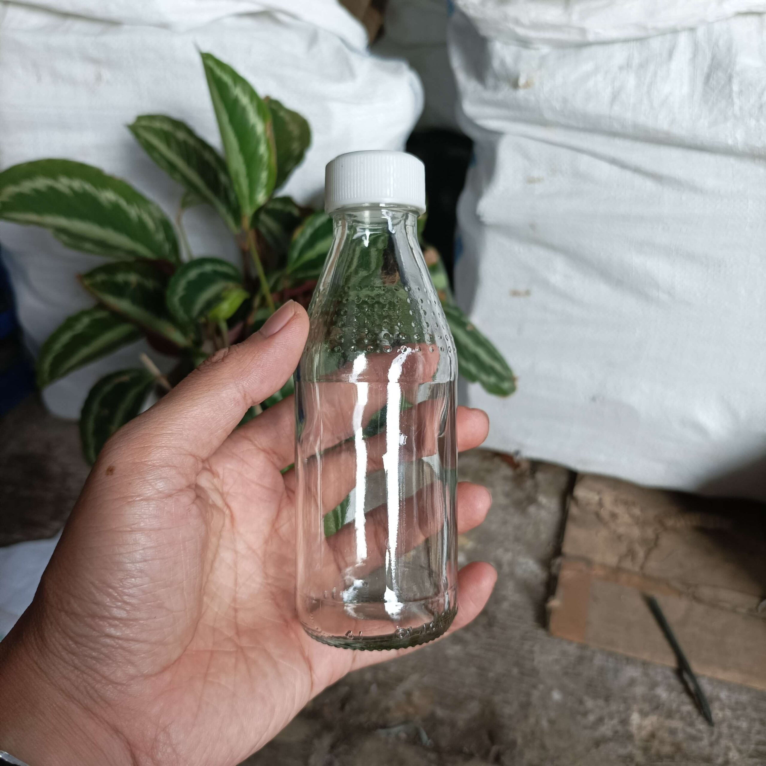 Botol Kaca 150ml HEMAVITON - Rekondisi - Gambar 4