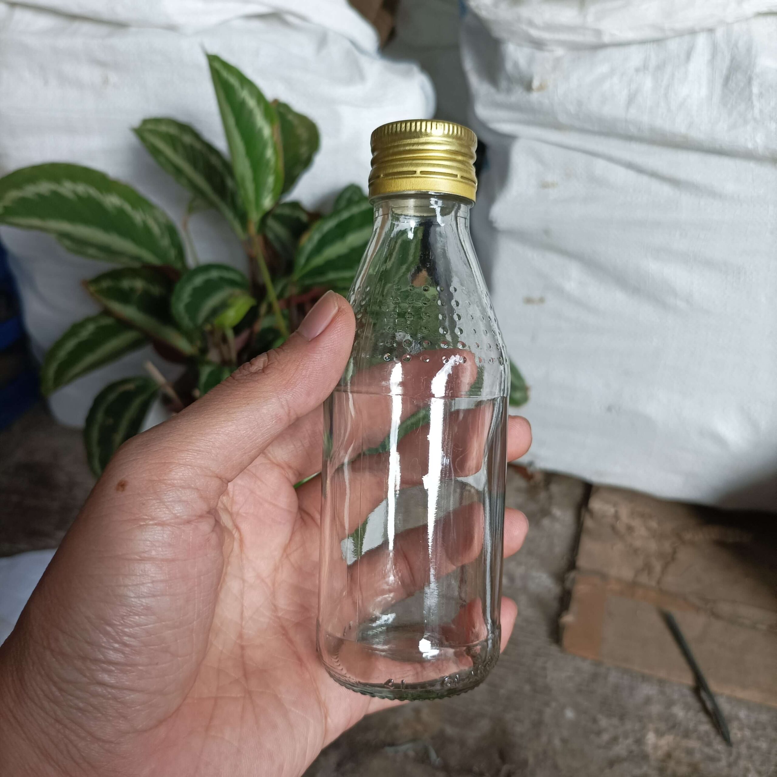 Botol Kaca 150ml HEMAVITON - Rekondisi - Gambar 3