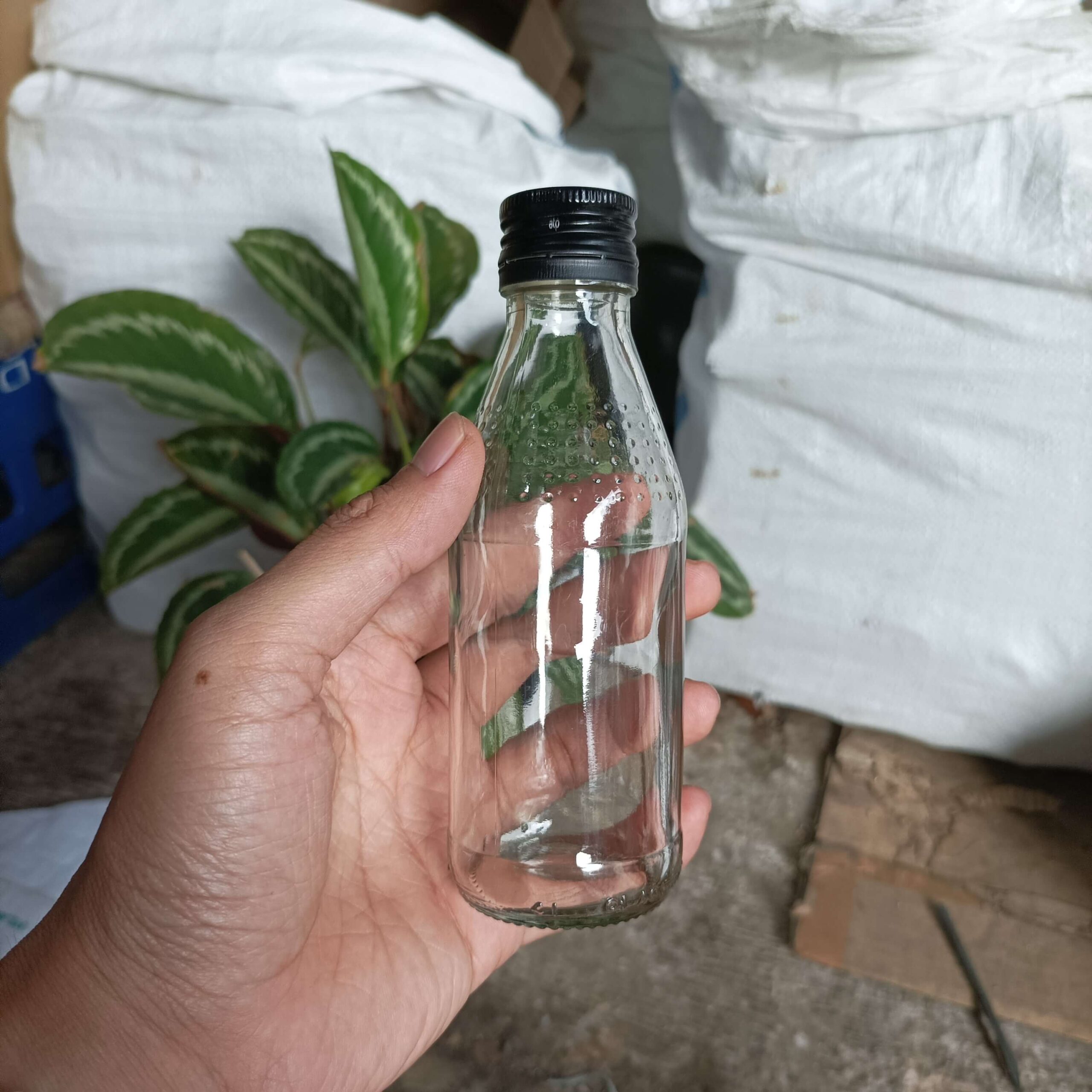 Botol Kaca 150ml HEMAVITON - Rekondisi - Gambar 2