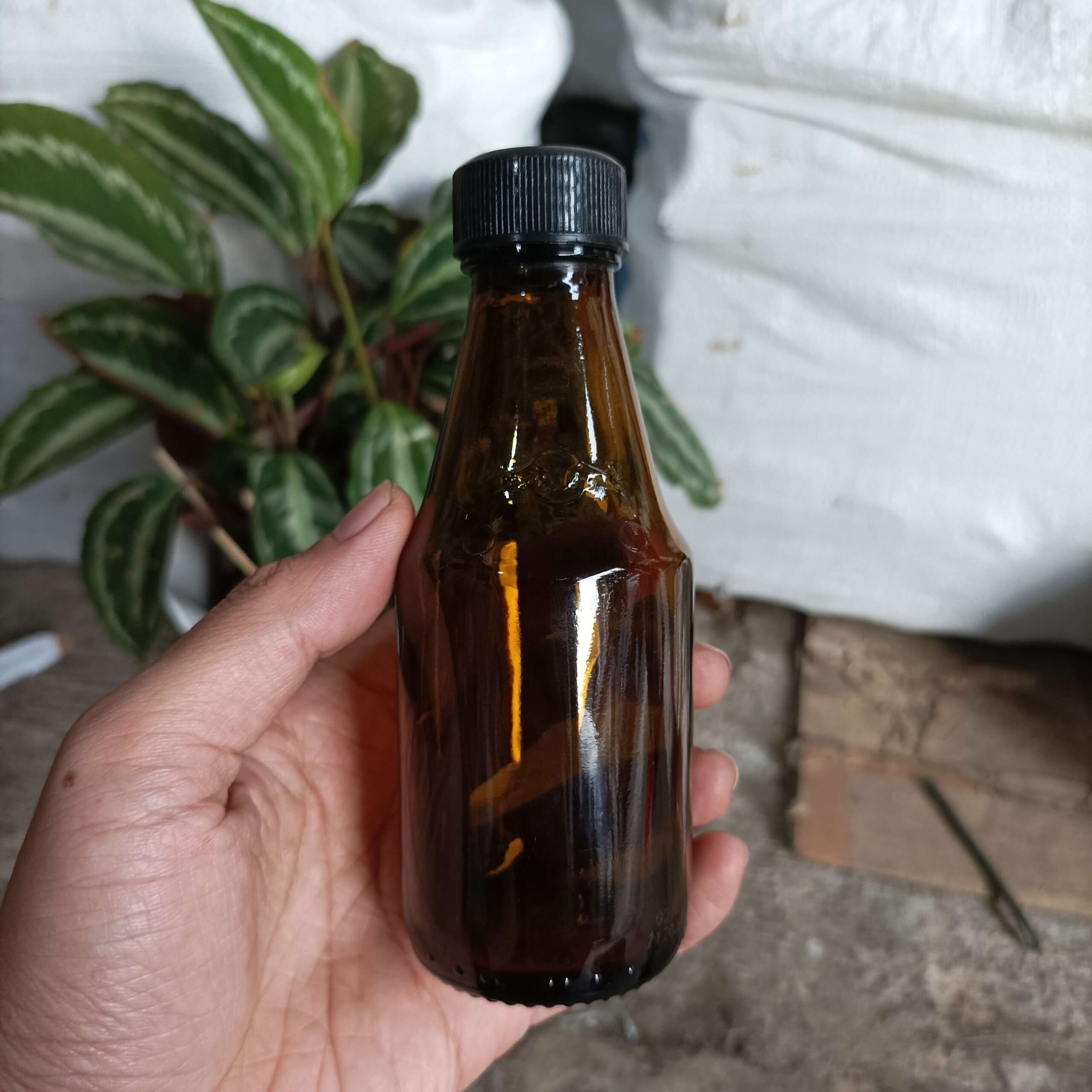 Botol Kaca 150ml KRATINGDAENG - Rekondisi - Gambar 4