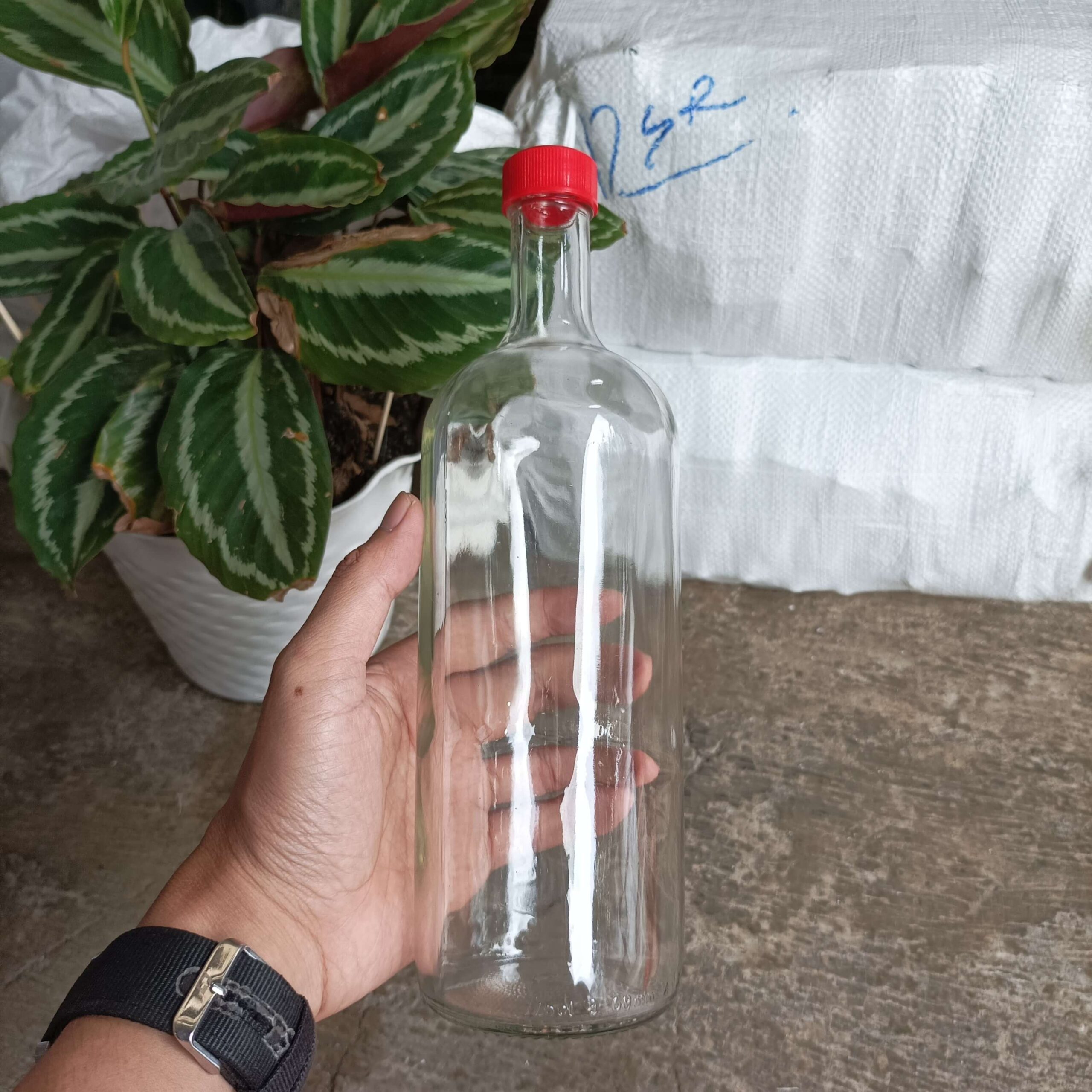 Botol Kaca 750ml DOLOMIA - Rekondisi - Gambar 7