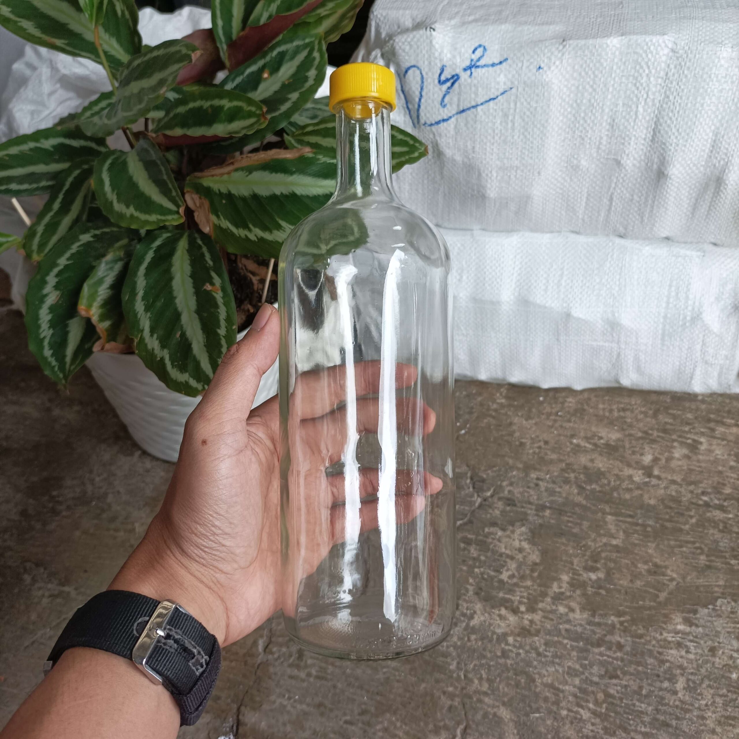 Botol Kaca 750ml DOLOMIA - Rekondisi - Gambar 6