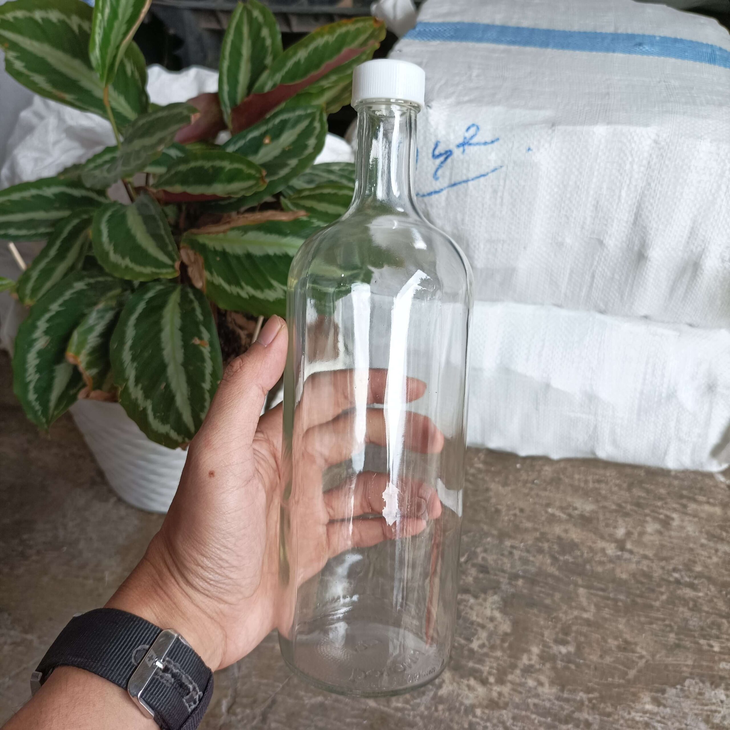 Botol Kaca 750ml DOLOMIA - Rekondisi - Gambar 5