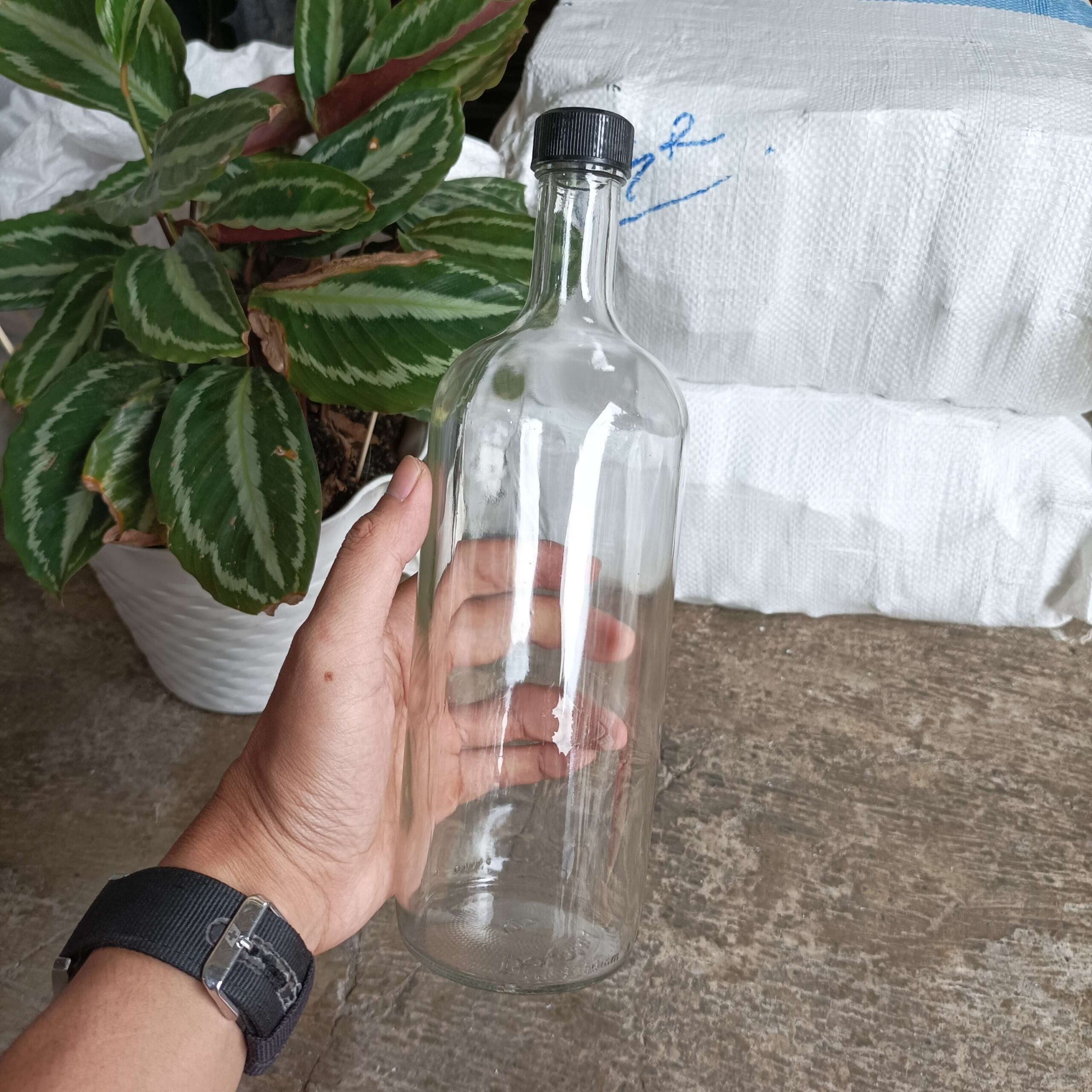 Botol Kaca 750ml DOLOMIA - Rekondisi - Gambar 4