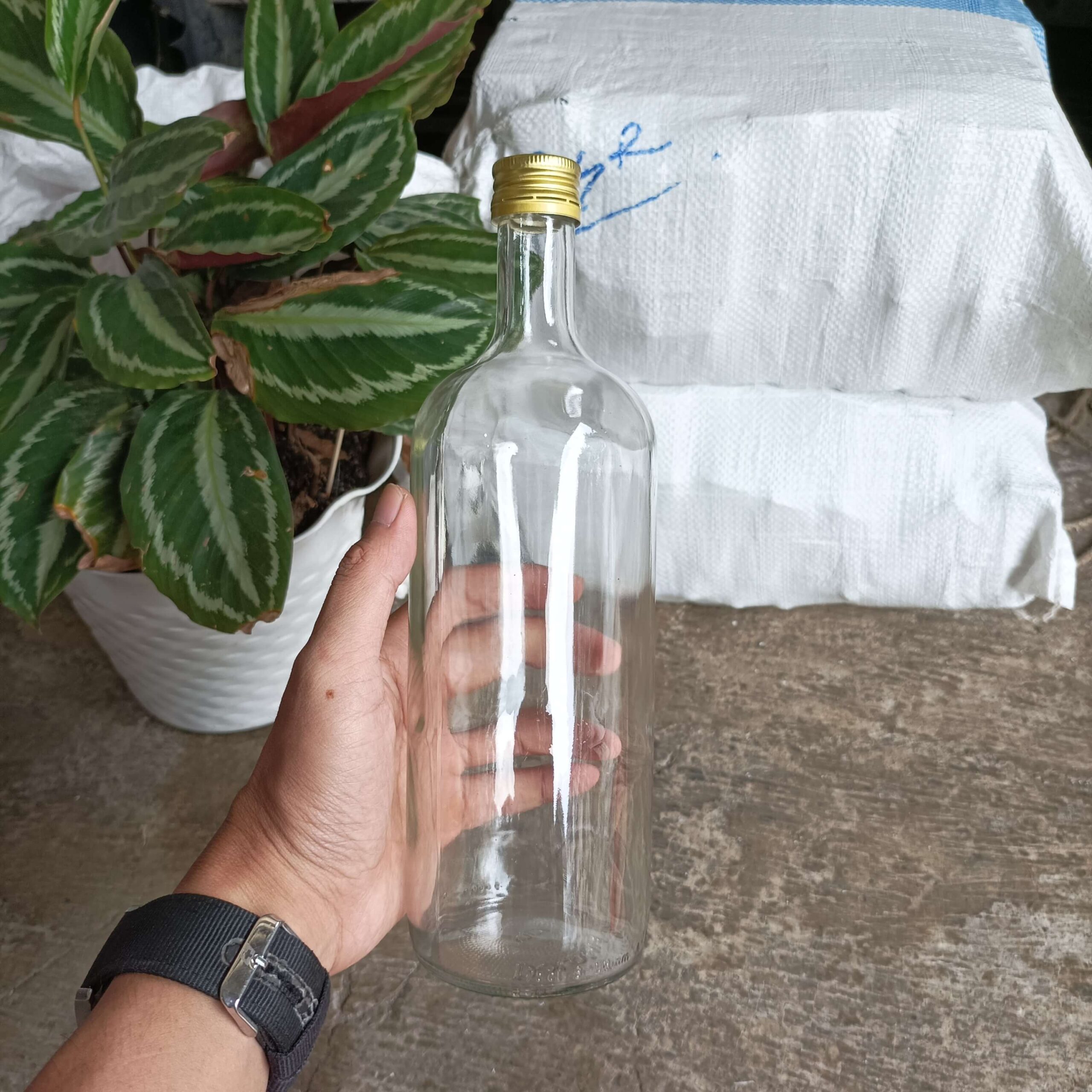 Botol Kaca 750ml DOLOMIA - Rekondisi - Gambar 3