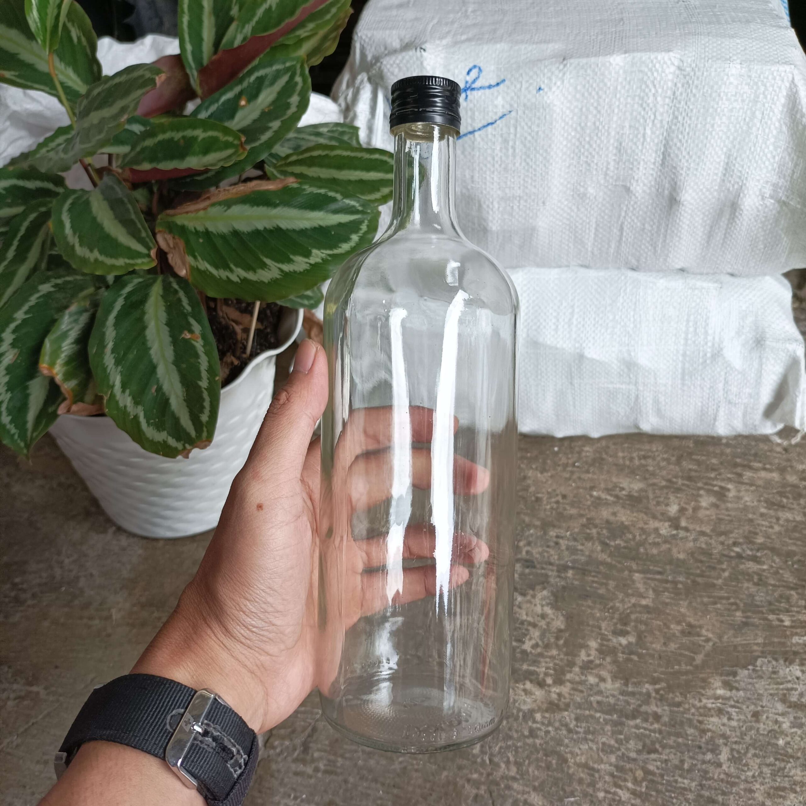 Botol Kaca 750ml DOLOMIA - Rekondisi - Gambar 2