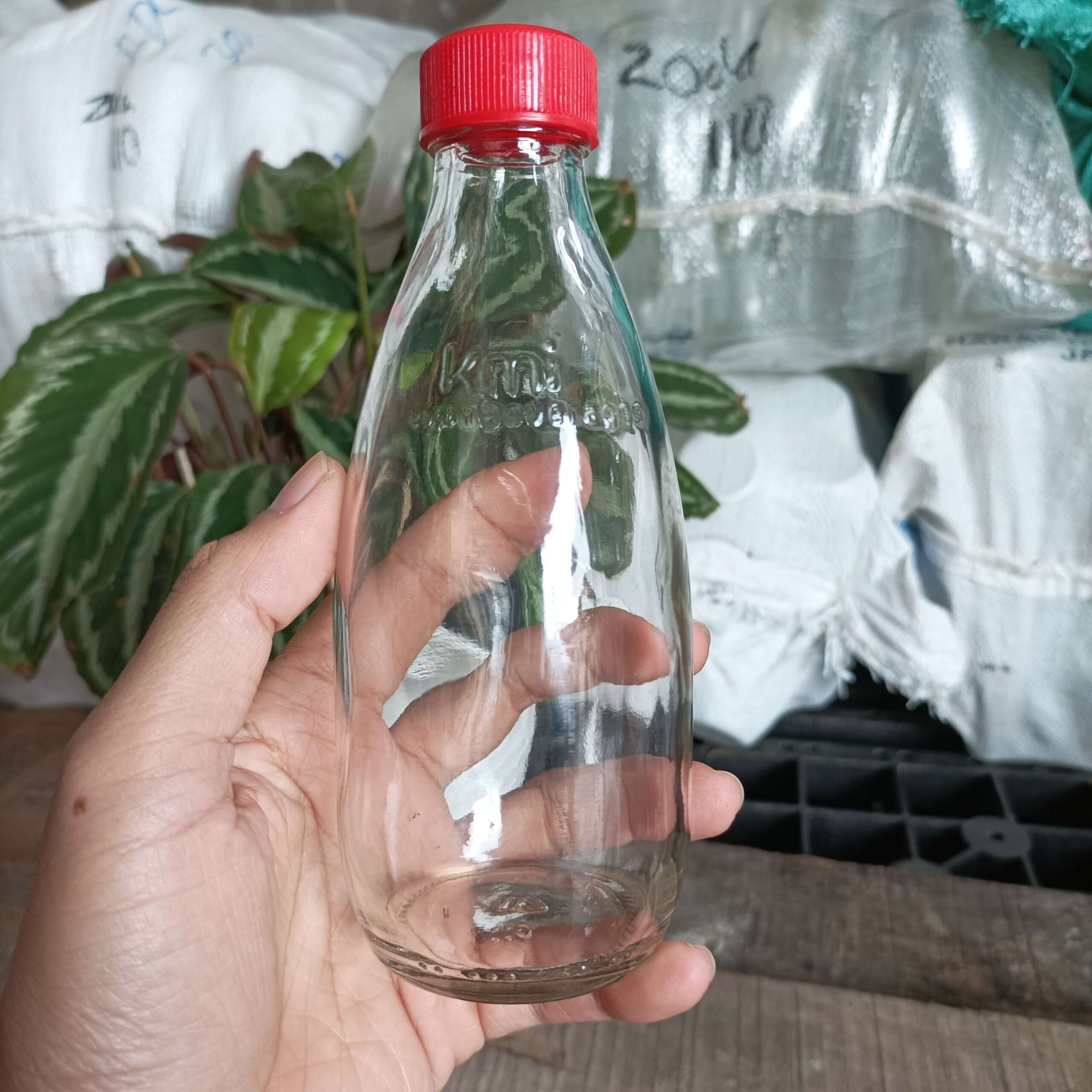 Botol Kaca 250ml Soda KMI - Rekondisi - Gambar 4