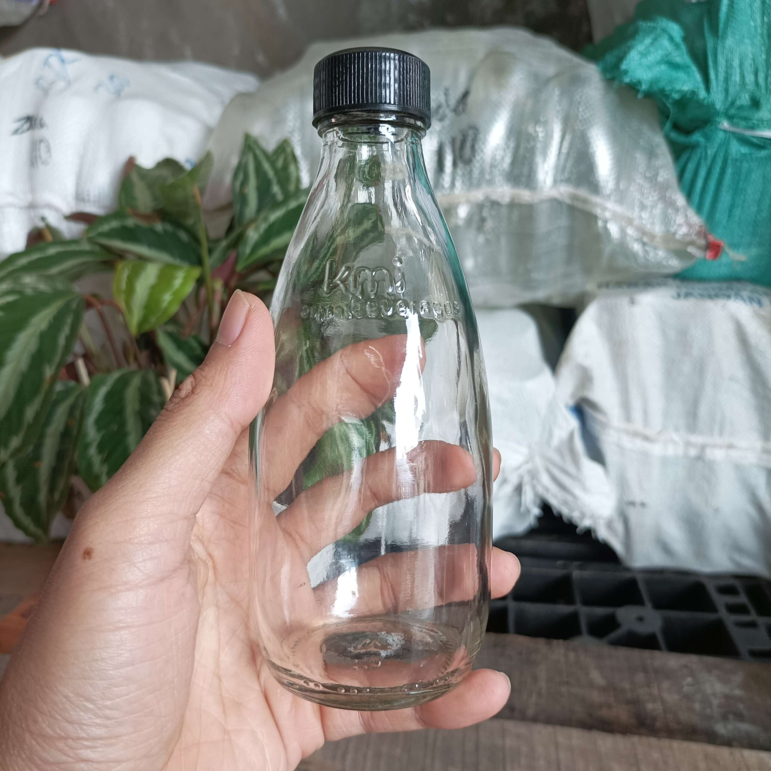 Botol Kaca 250ml Soda KMI - Rekondisi - Gambar 5