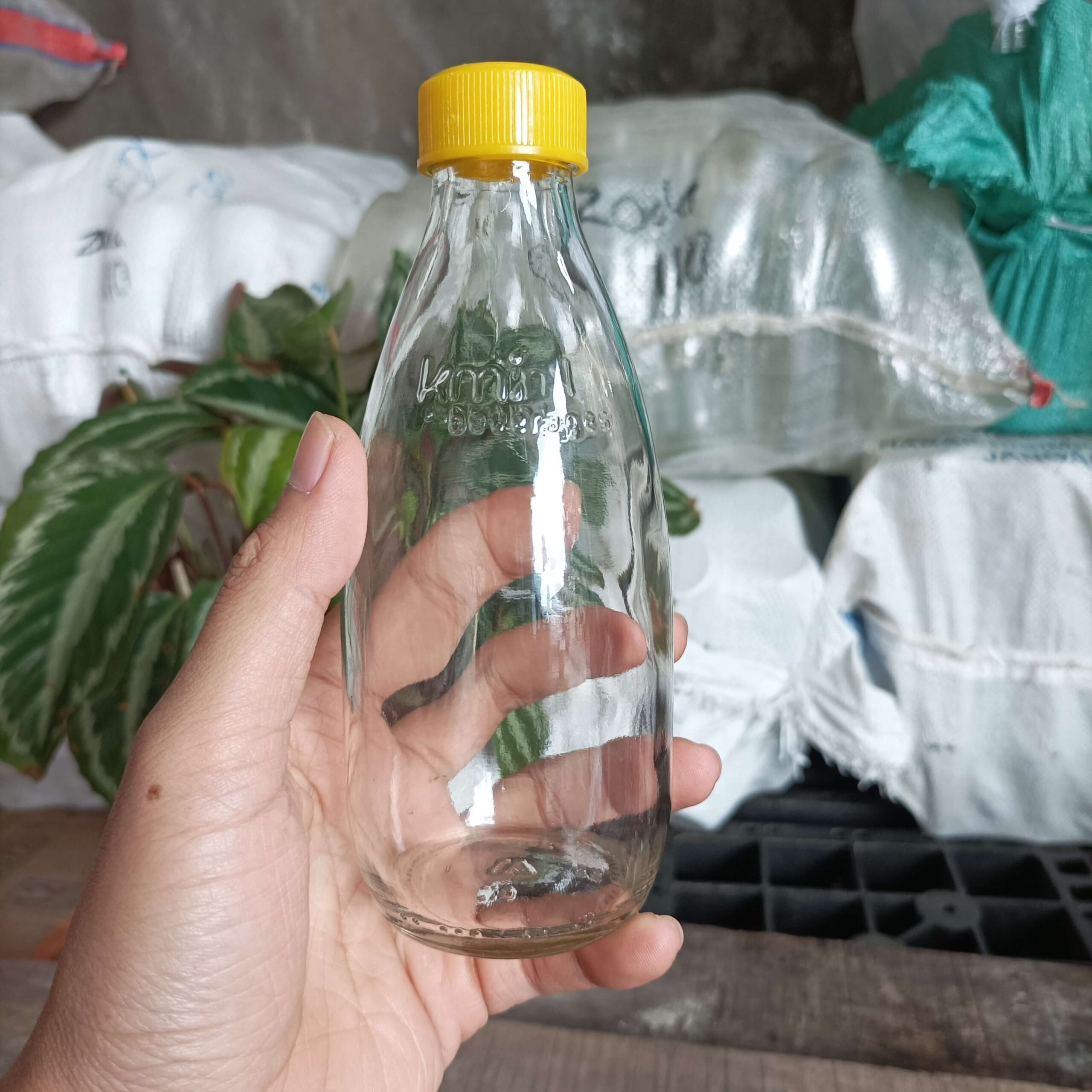 Botol Kaca 250ml Soda KMI - Rekondisi - Gambar 6