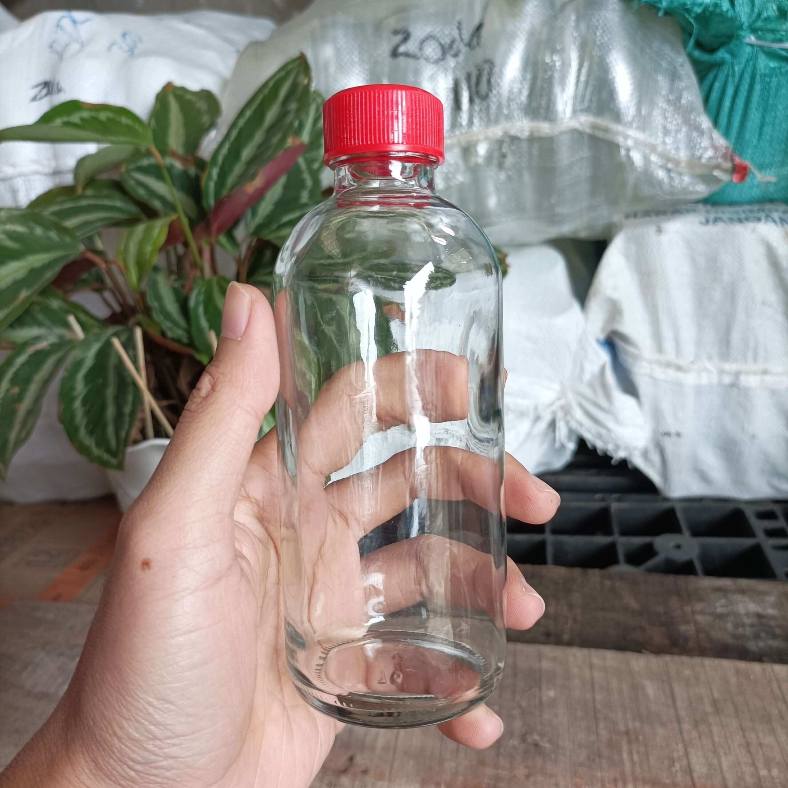 Botol Kaca 250ml LASERIN - Rekondisi - Gambar 7