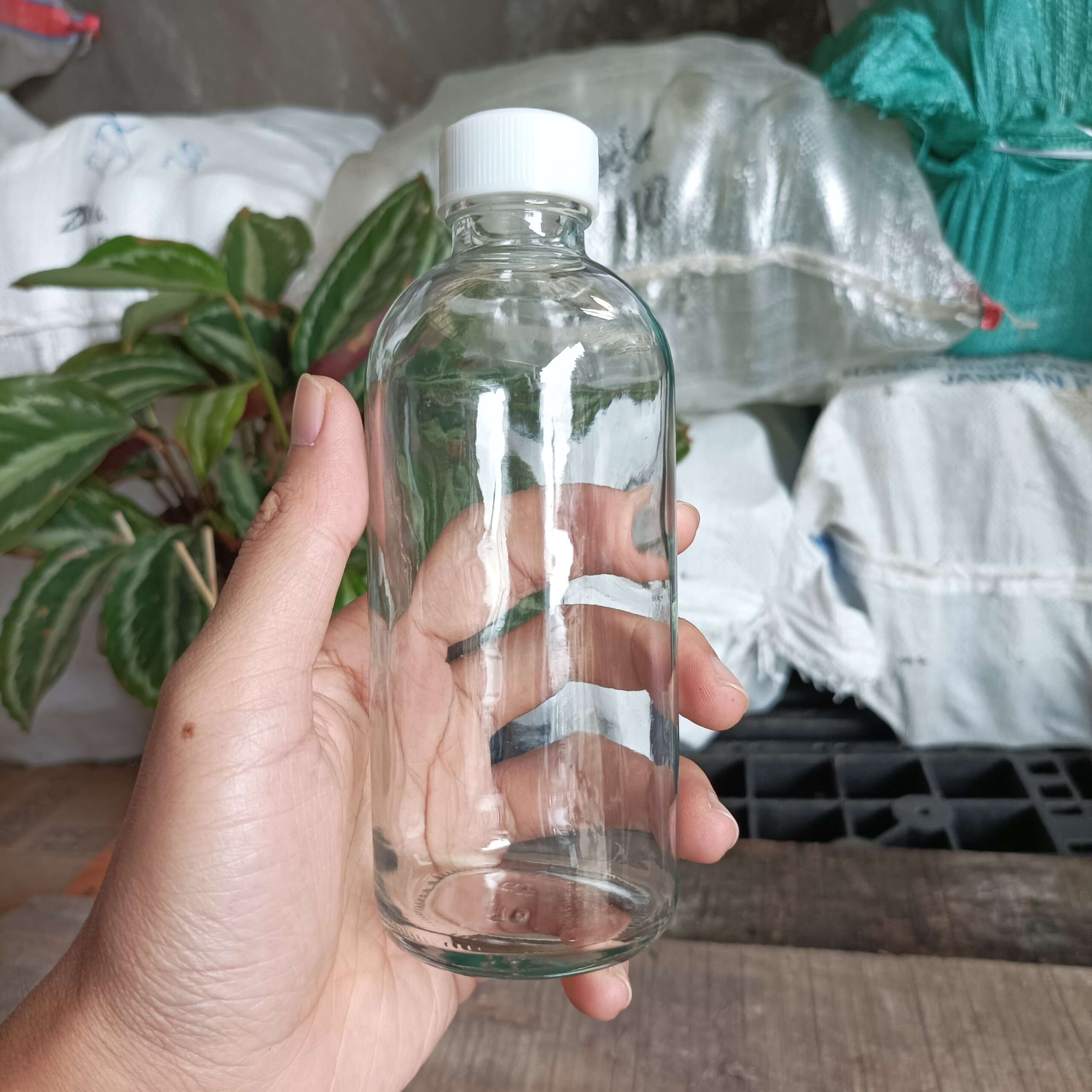 Botol Kaca 250ml LASERIN - Rekondisi - Gambar 6