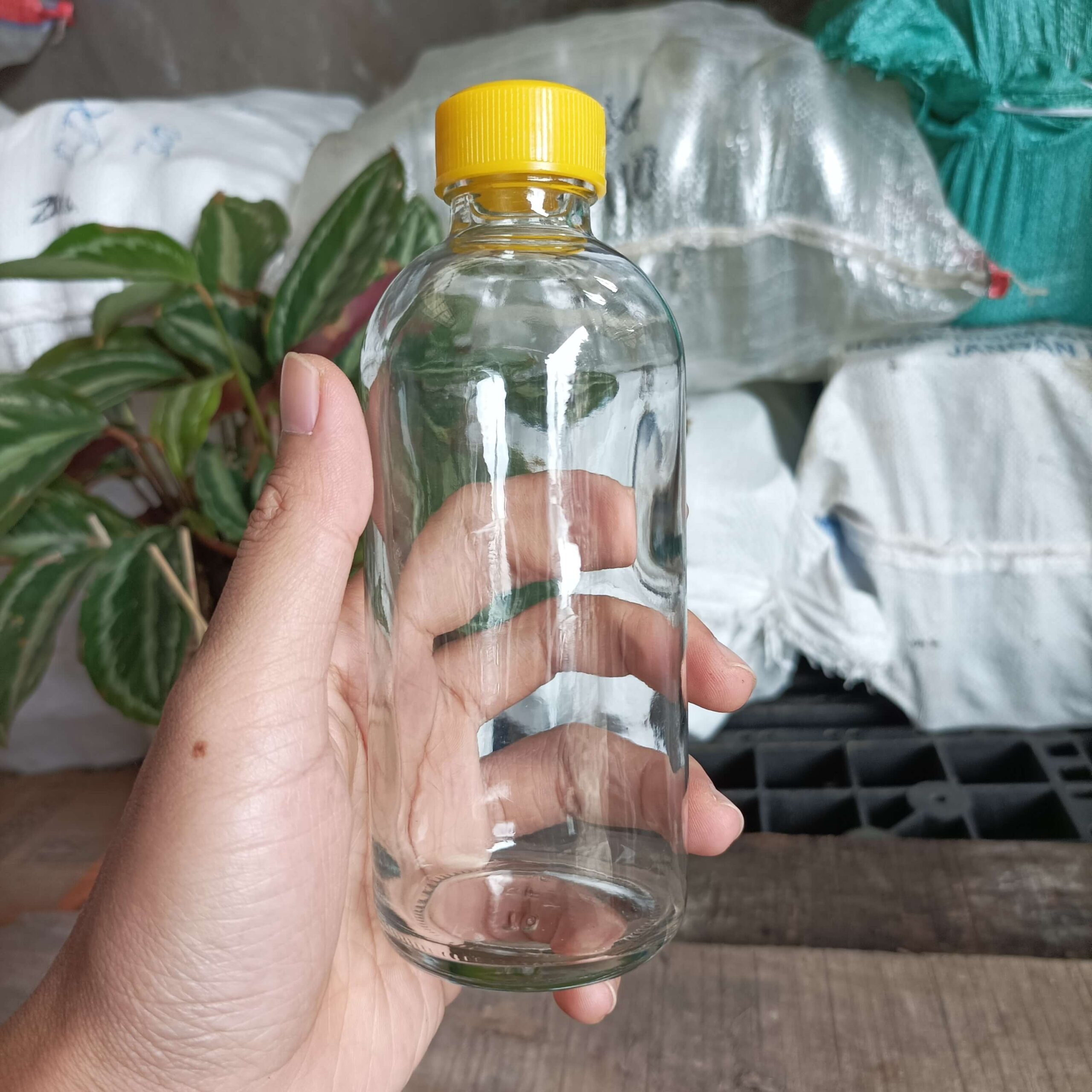 Botol Kaca 250ml LASERIN - Rekondisi - Gambar 5