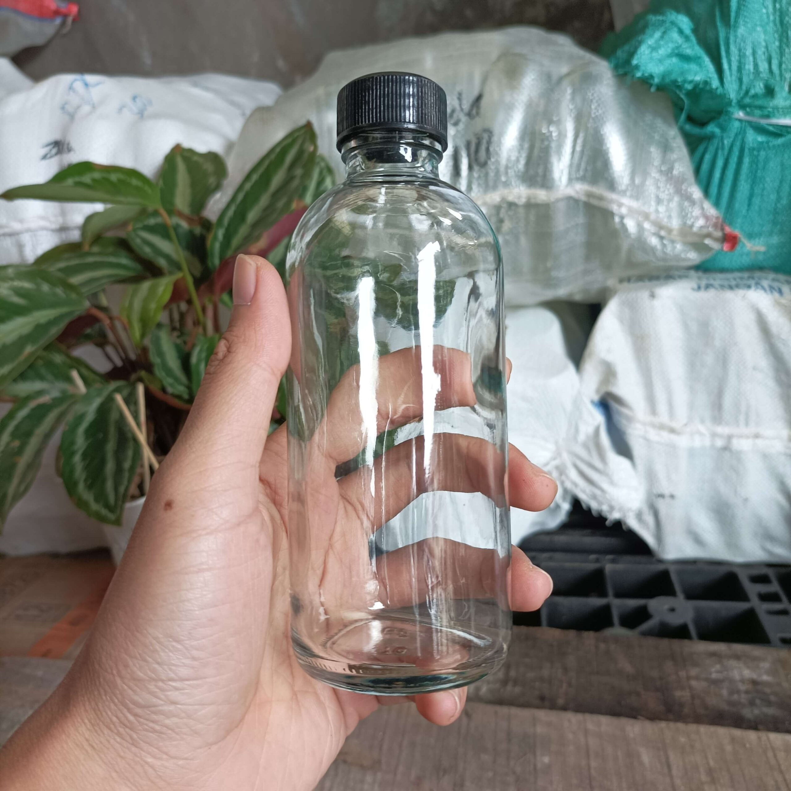 Botol Kaca 250ml LASERIN - Rekondisi - Gambar 4