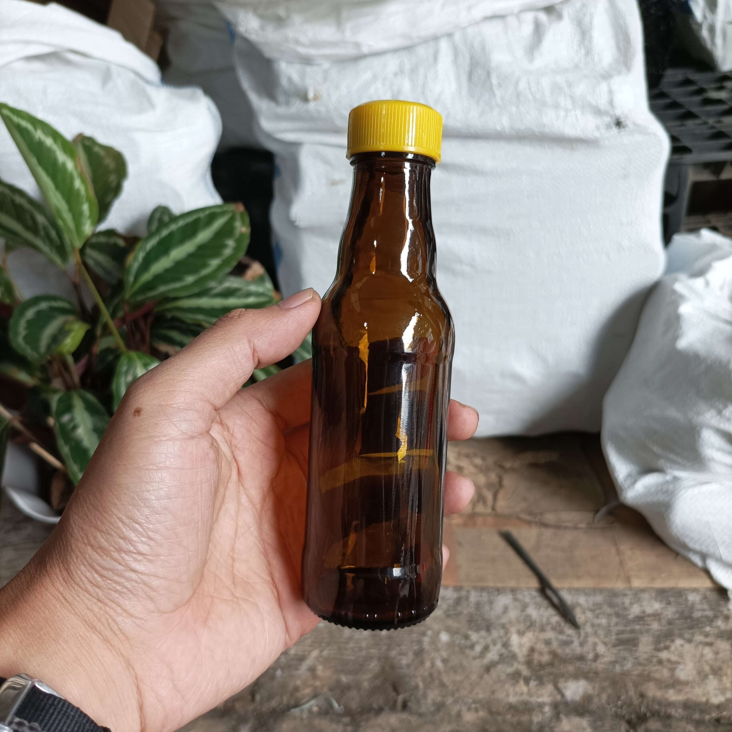 Botol Kaca Coklat 150ml PROMAN - Rekondisi - Gambar 7