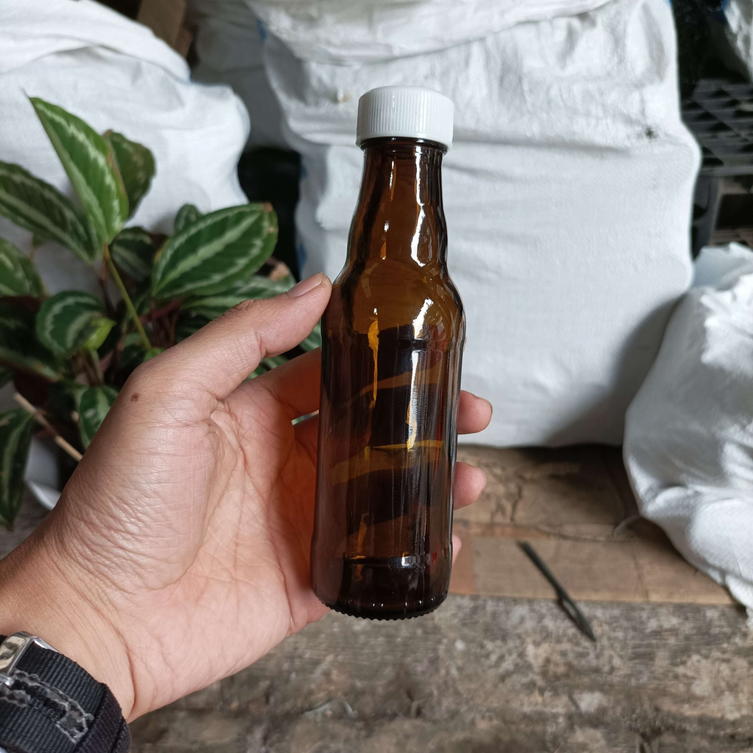 Botol Kaca Coklat 150ml PROMAN - Rekondisi - Gambar 6