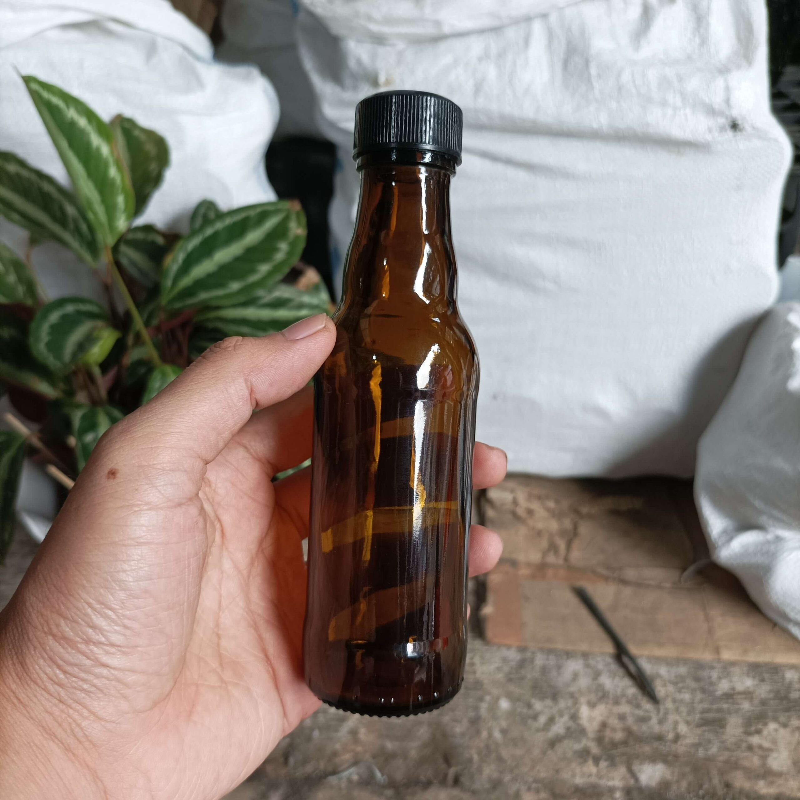 Botol Kaca Coklat 150ml PROMAN - Rekondisi - Gambar 5