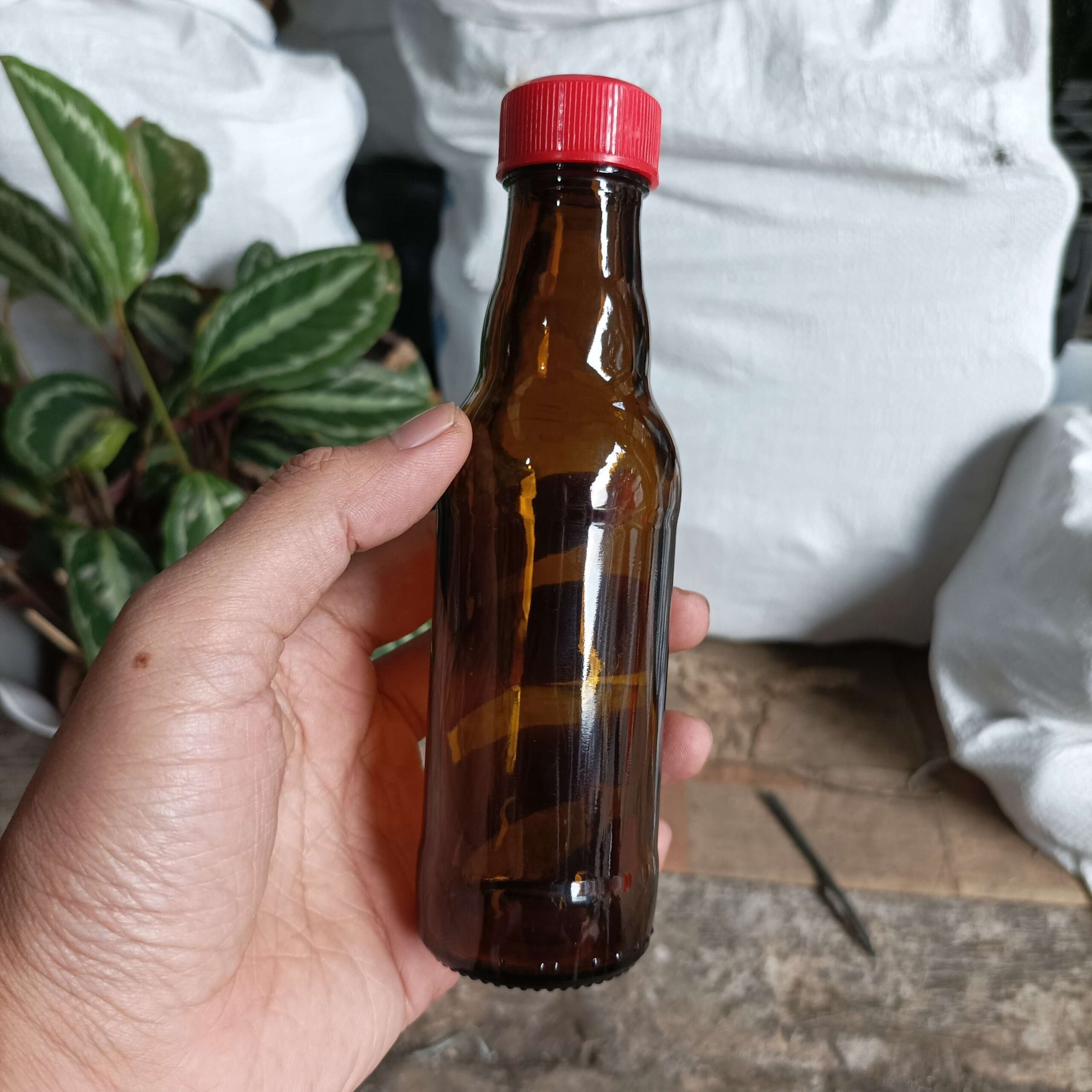 Botol Kaca Coklat 150ml PROMAN - Rekondisi - Gambar 4