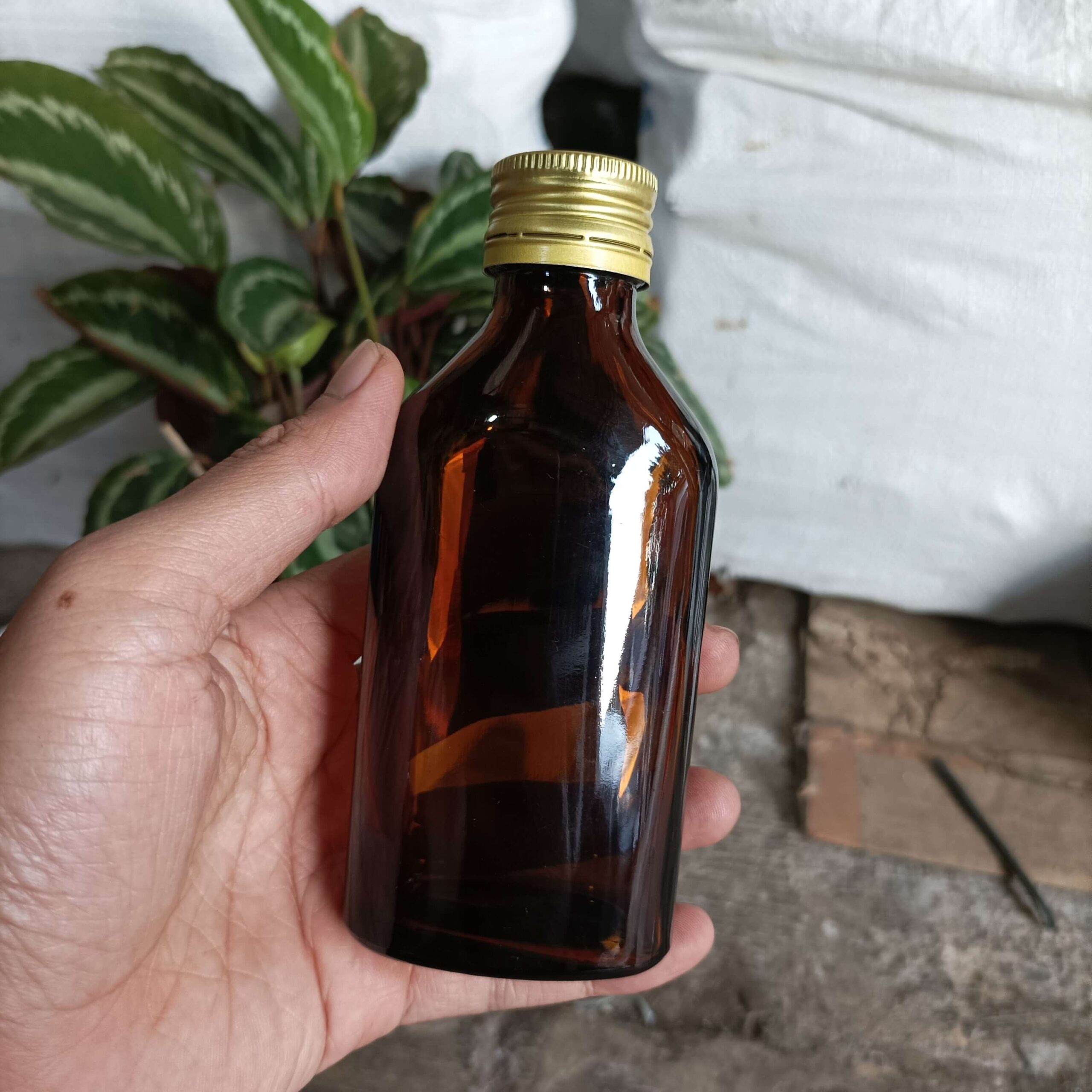Botol Kaca Coklat Gepeng 100ml KOLDEX - Rekondisi - Gambar 2