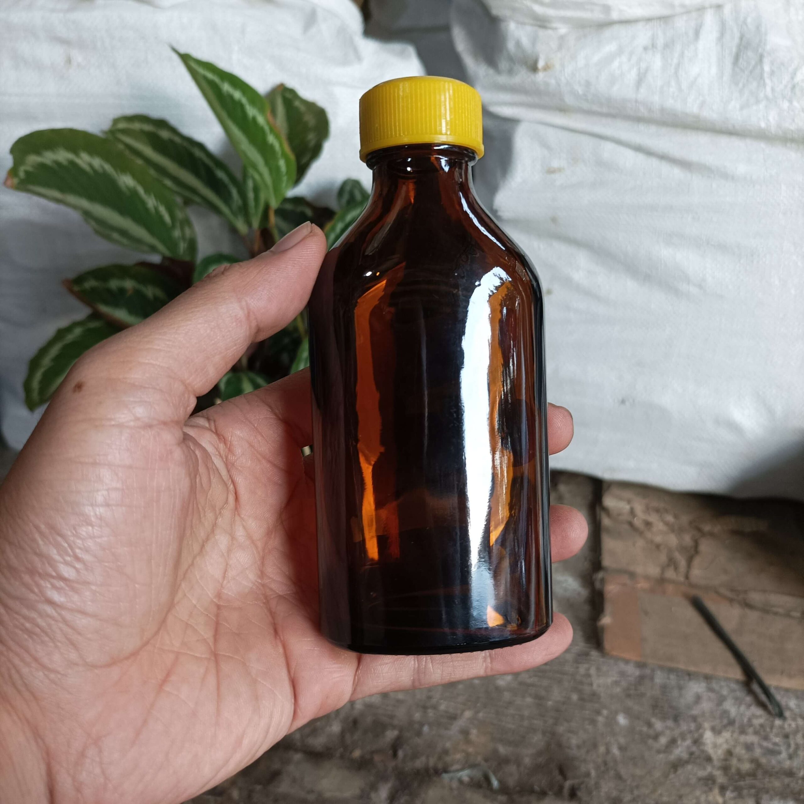 Botol Kaca Coklat Gepeng 100ml KOLDEX - Rekondisi - Gambar 7