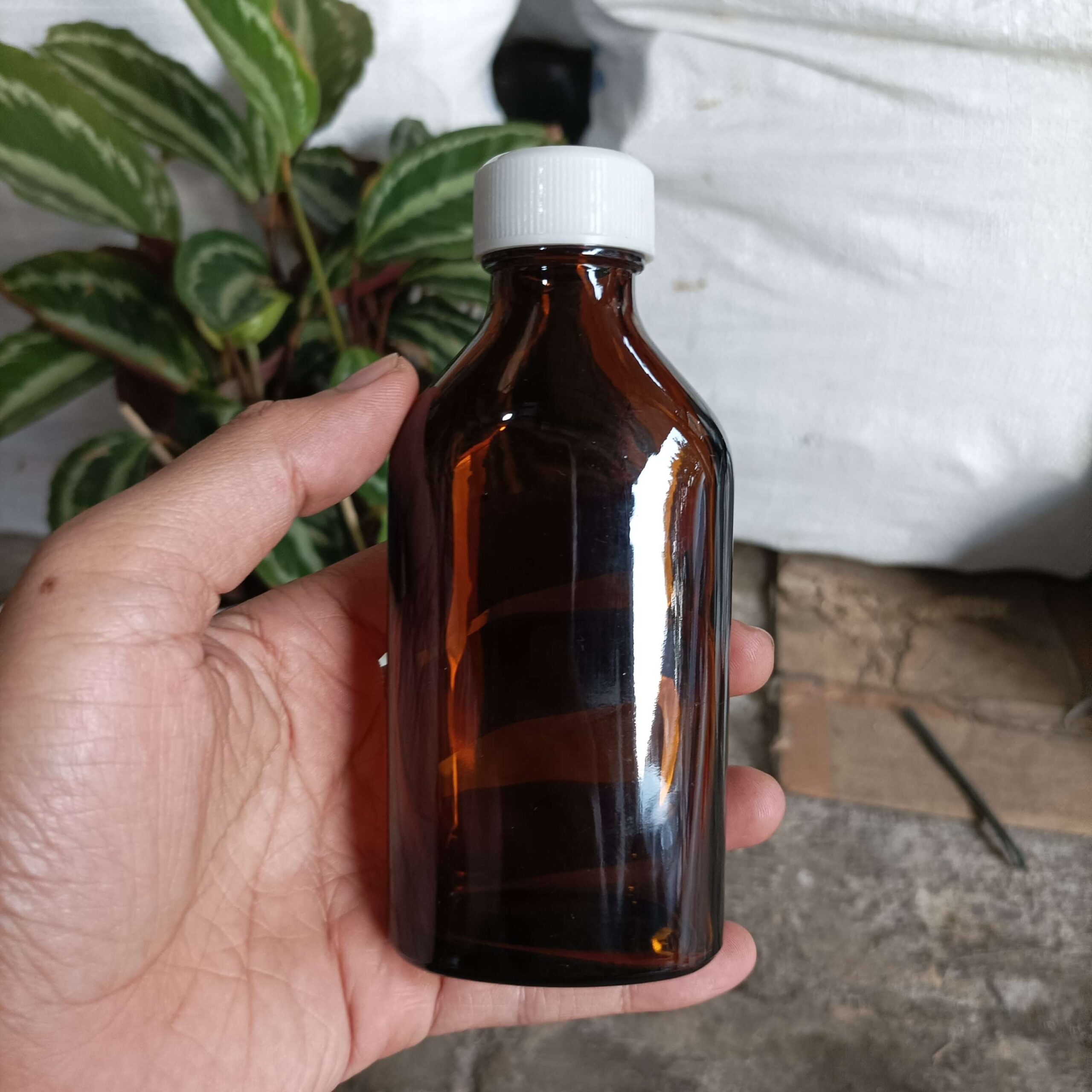 Botol Kaca Coklat Gepeng 100ml KOLDEX - Rekondisi - Gambar 5