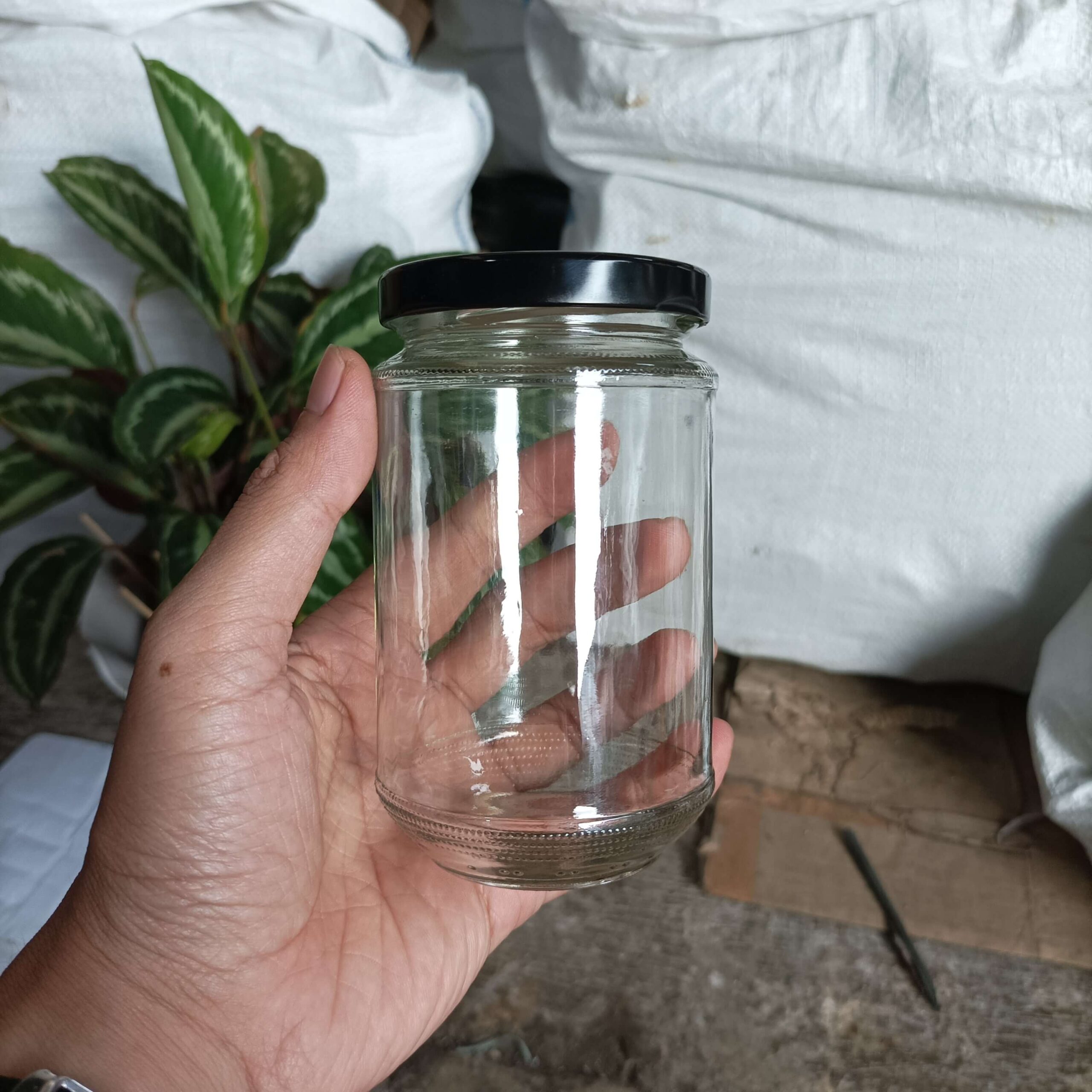Toples Jar Kaca 330ml Rekondisi - Gambar 4