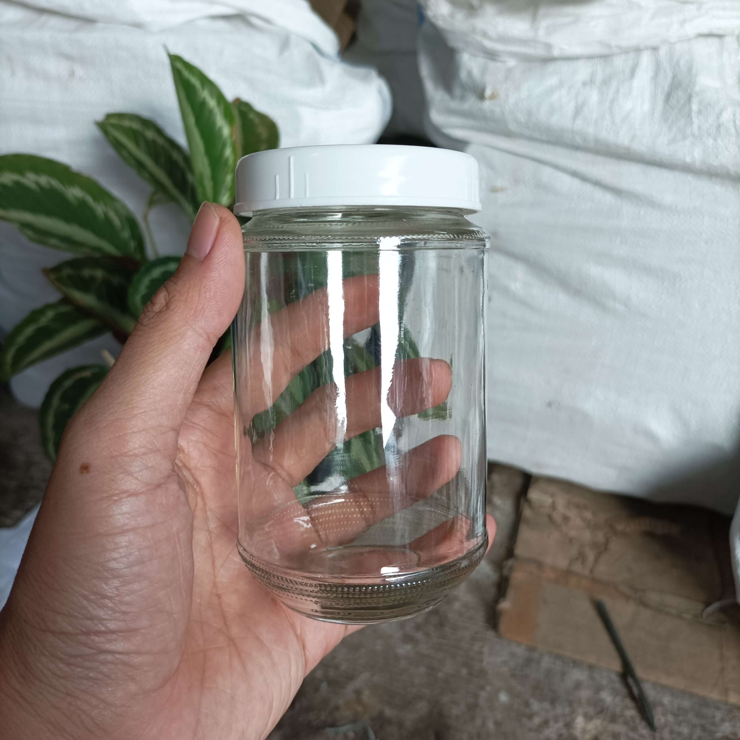 Toples Jar Kaca 330ml Rekondisi - Gambar 5