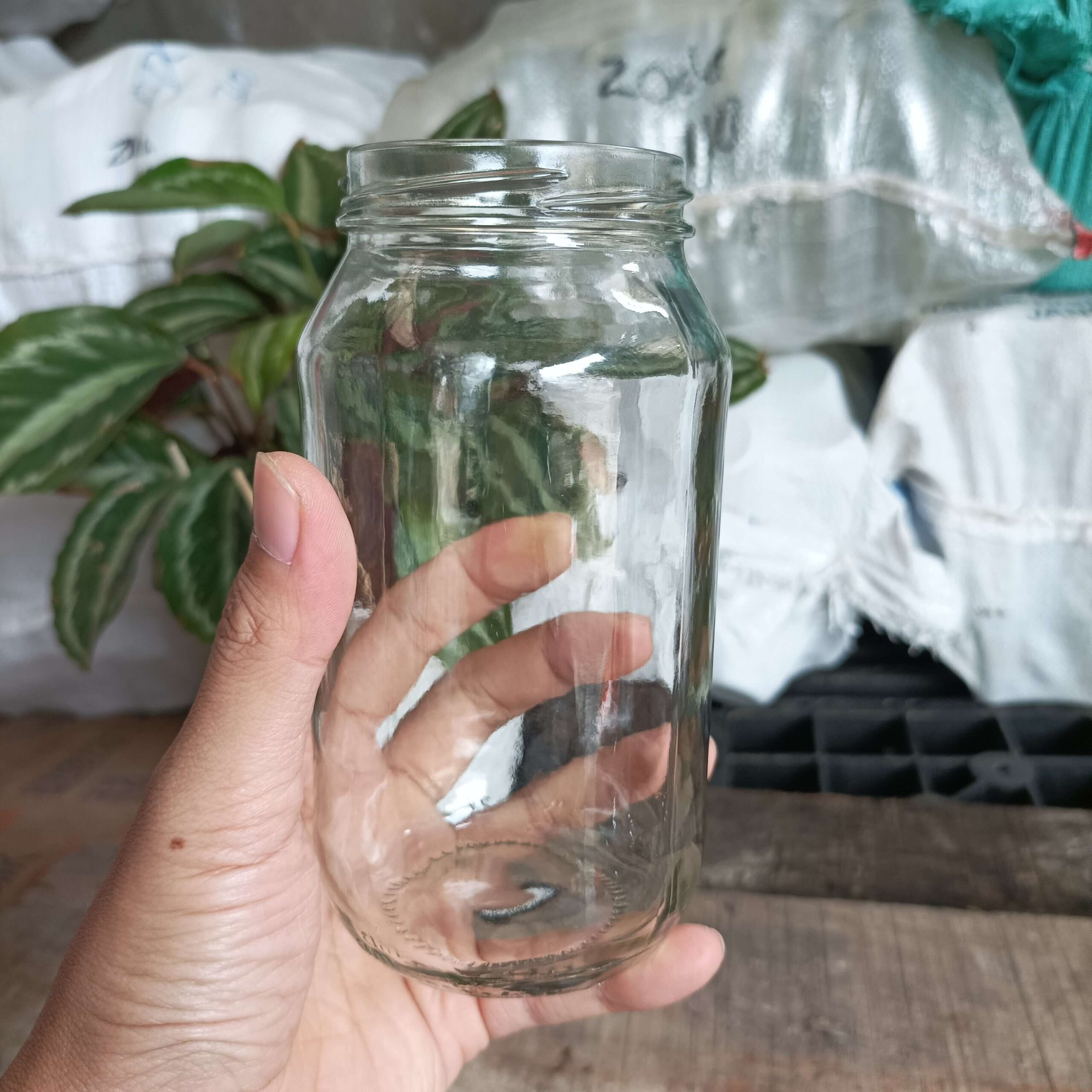 Toples Jar Kaca 480ml - Rekondisi - Gambar 5
