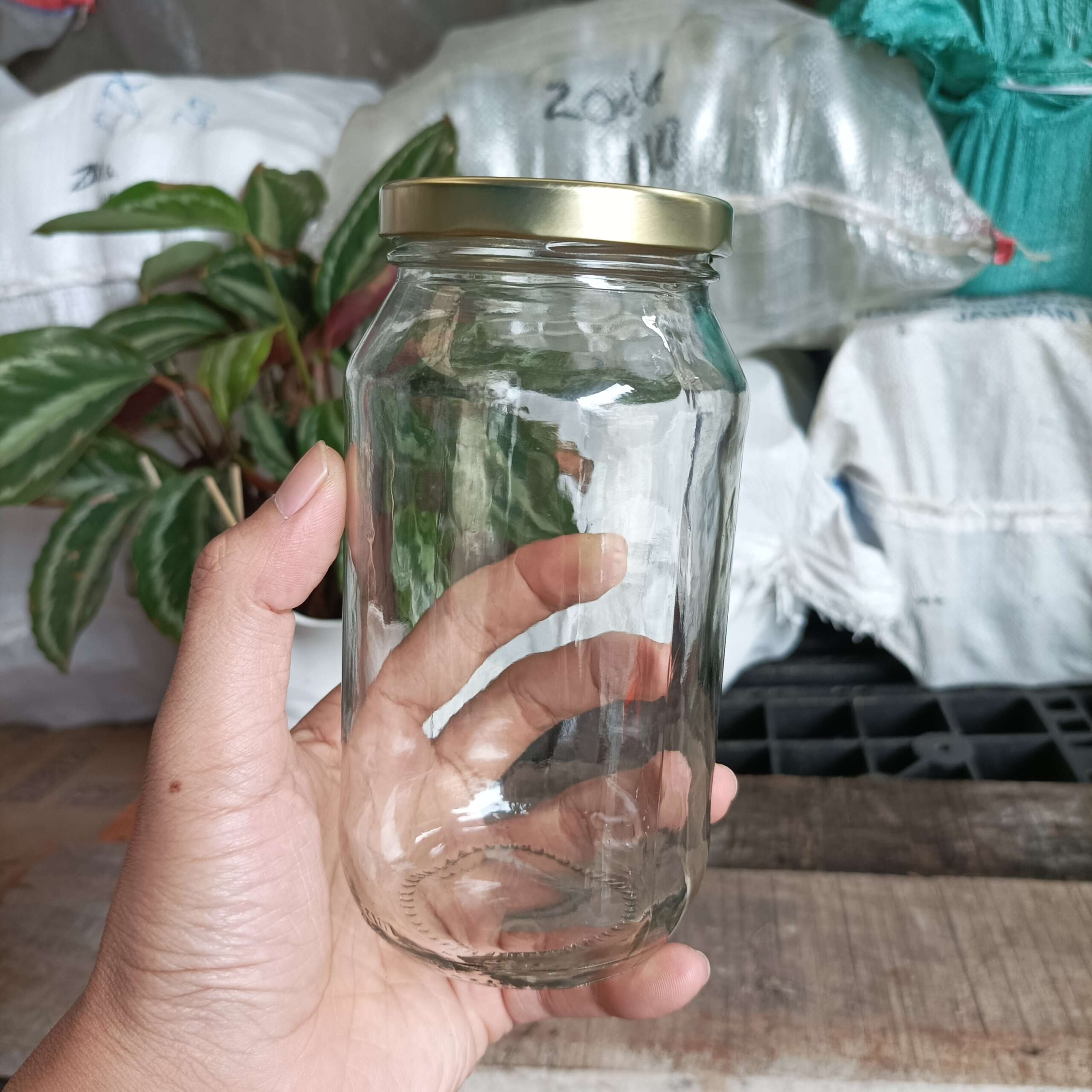 Toples Jar Kaca 480ml - Rekondisi - Gambar 4