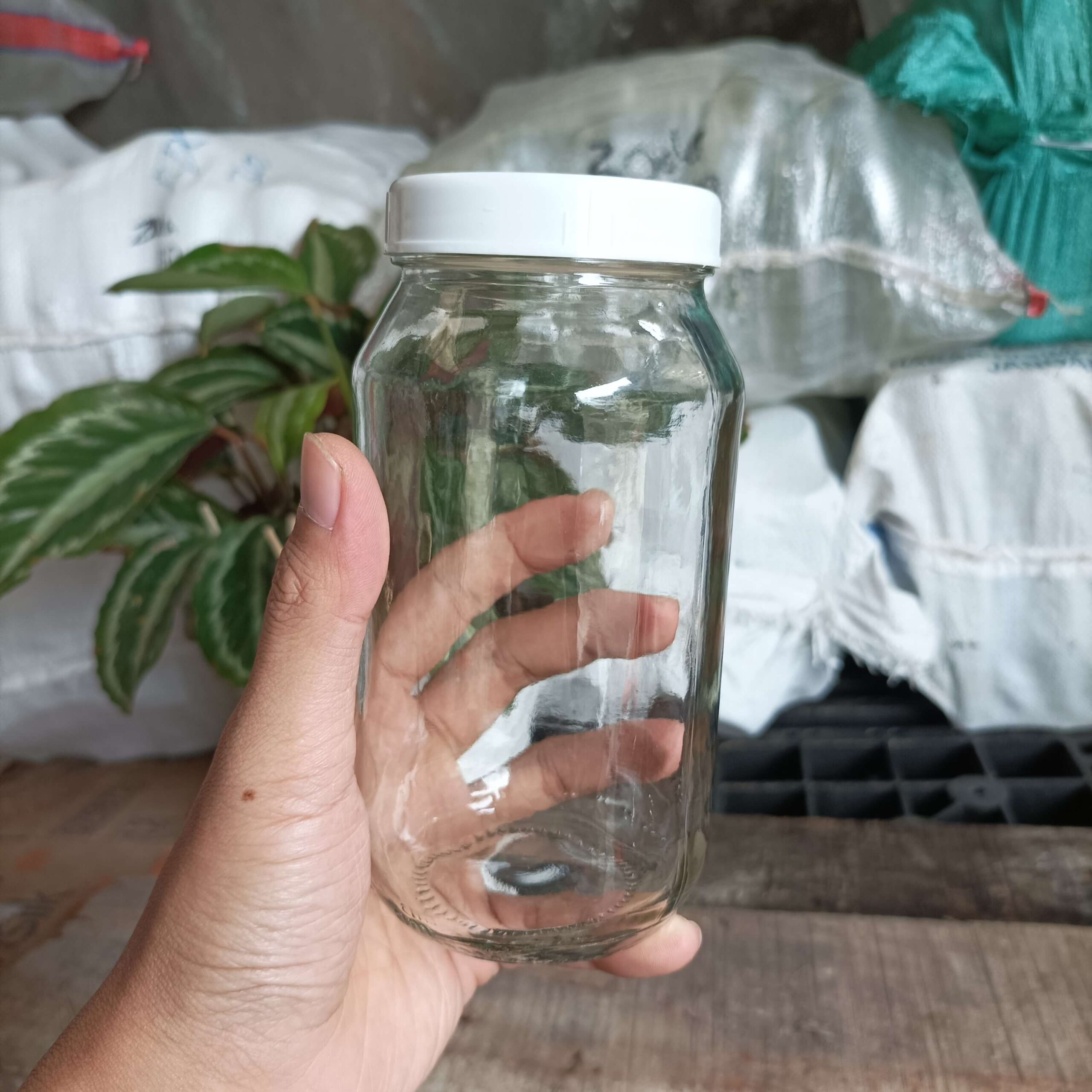Toples Jar Kaca 480ml - Rekondisi - Gambar 3