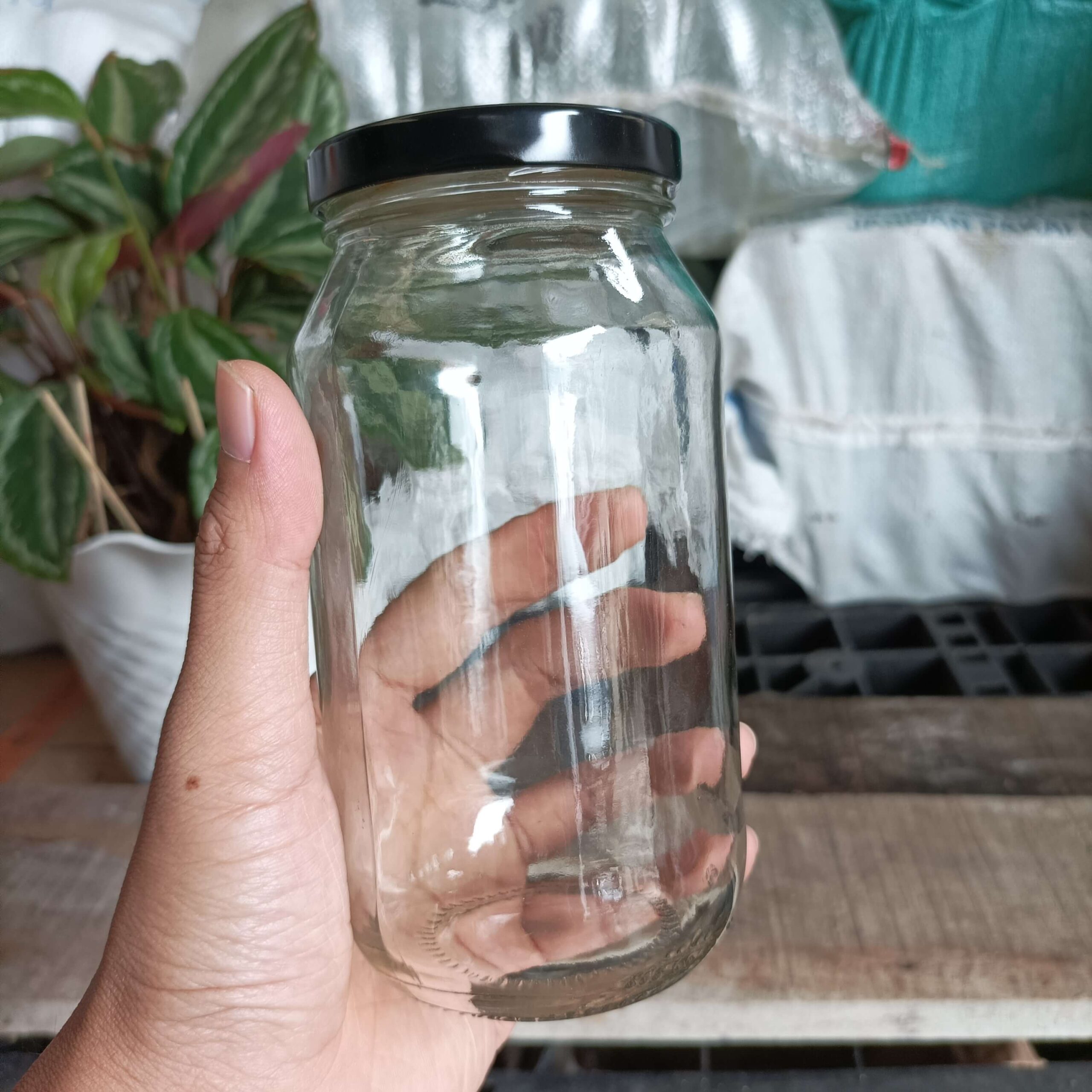 Toples Jar Kaca 480ml - Rekondisi - Gambar 2