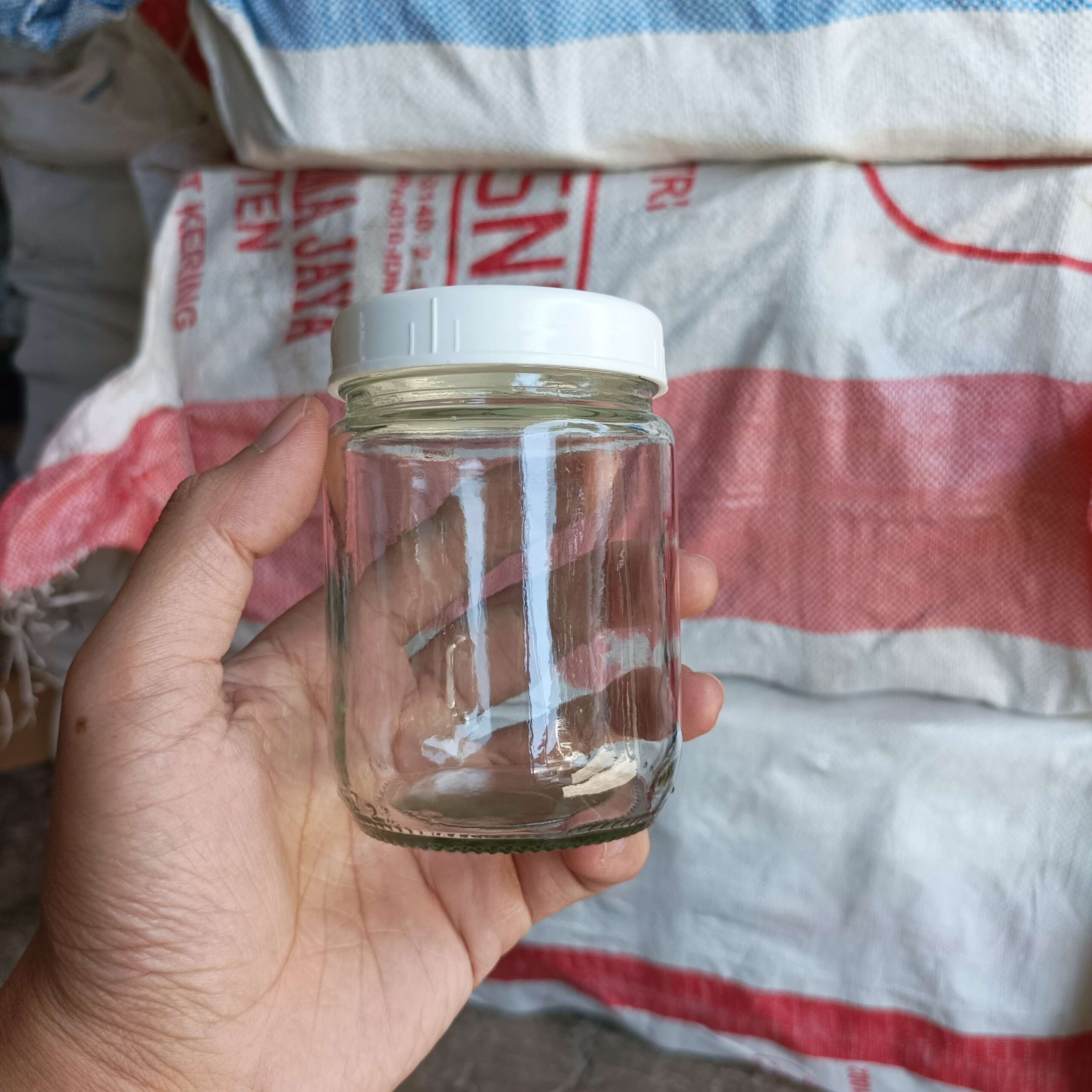 Toples Jar Kaca 250ml Untuk Kultur Jaringan Rekondisi - Gambar 5