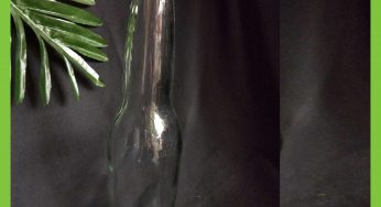 Botol Kaca 275ml MIX MAX Rekondisi – Termasuk Tutup
