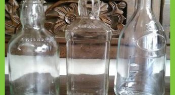 Botol Kaca Exclusive Untuk Ikan Cupang