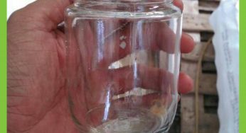 Toples Jar Kaca 250ml Untuk Kultur Jaringan